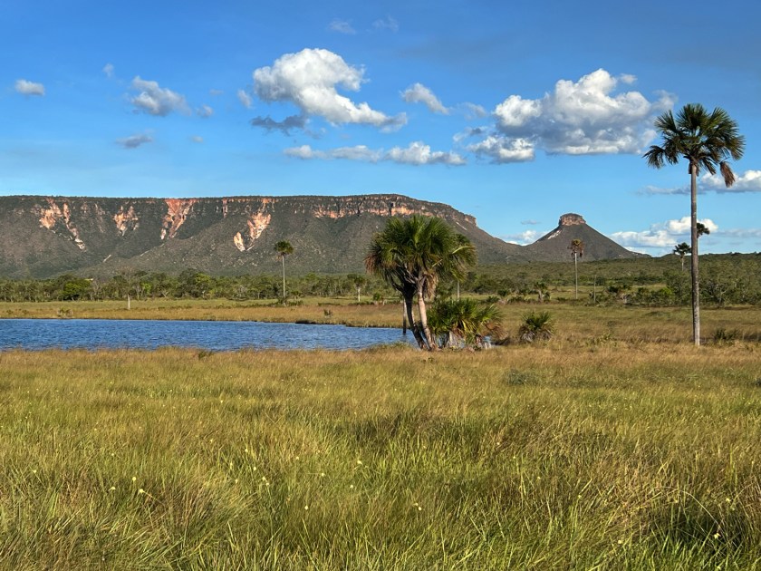 Paisagem do Jalapão ao amanhecer, com veredas e buritis