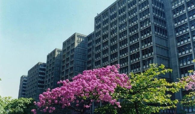 Campus Maracanã da UERJ com prédio principal, céu azul e árvore florada ao centro