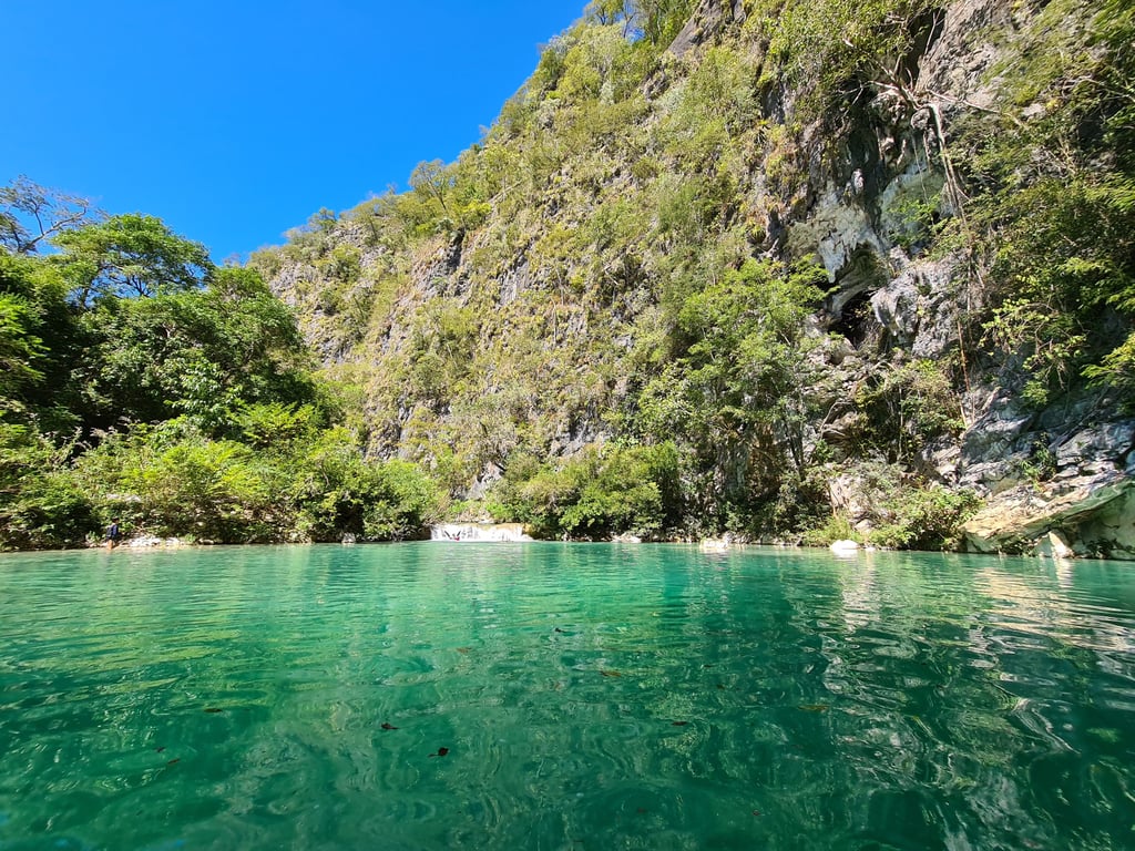 Rios de águas cristalinas e vegetação no Parque Nacional da Serra da Bodoquena, em Bonito MS