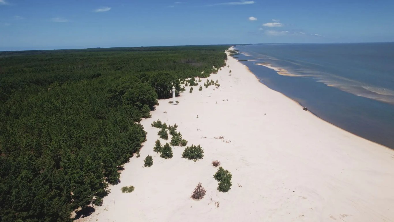 Campos e paisagem rural na região de Pelotas e Capão do Leão RS