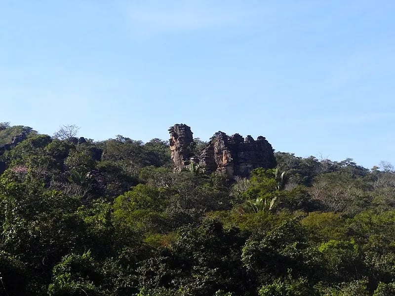 Cerrado sul-mato-grossense ao entardecer