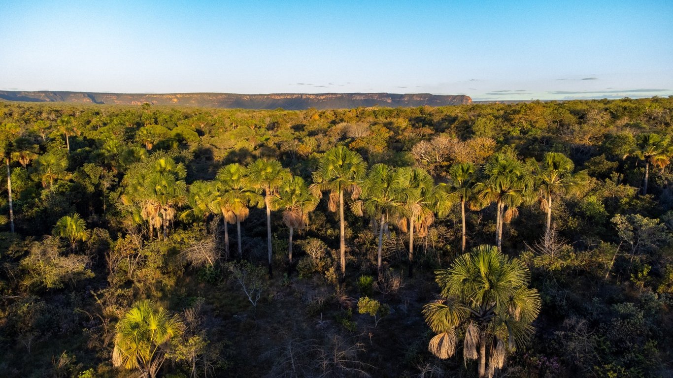 Cenário do Cerrado em Goiás, com silhuetas de profissionais de conservação