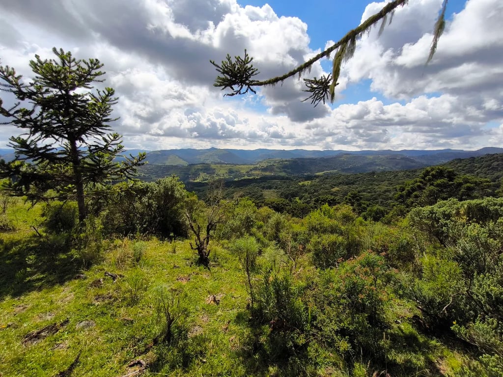 Paisagem de cidade pequena no Oeste de Santa Catarina, com morros e áreas verdes