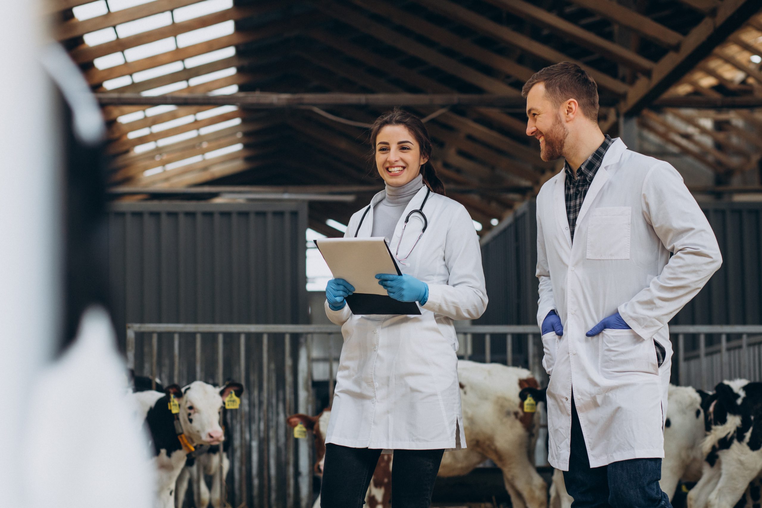 Profissionais veterinários em ação de campo voltada à saúde pública