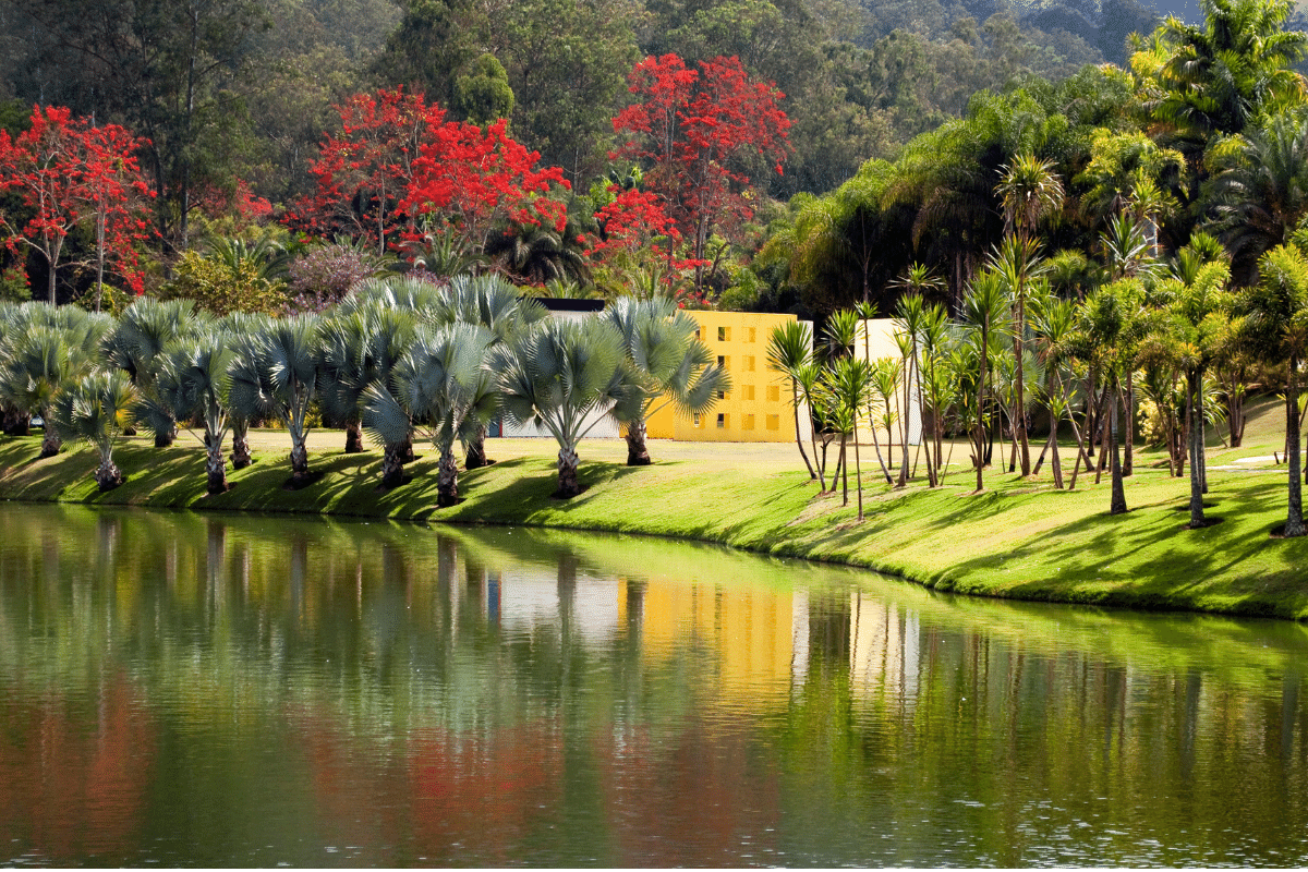 Vista do Instituto Inhotim, em Brumadinho MG, com jardins e lago