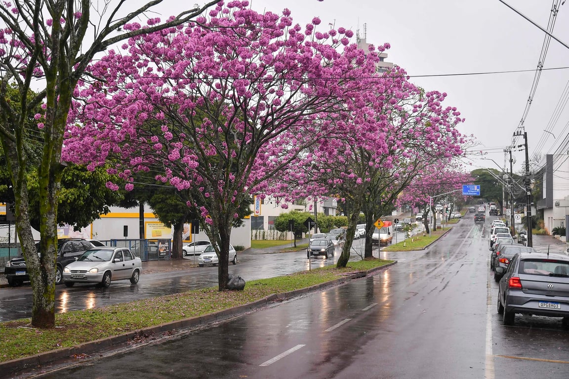 Cena urbana em cidade do interior do Paraná