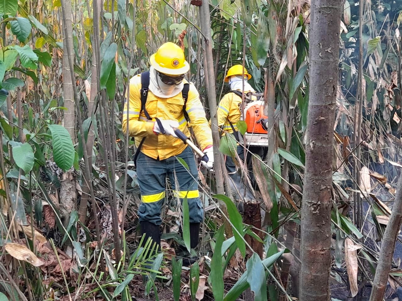Agentes do ICMBio em atividade na Amazônia