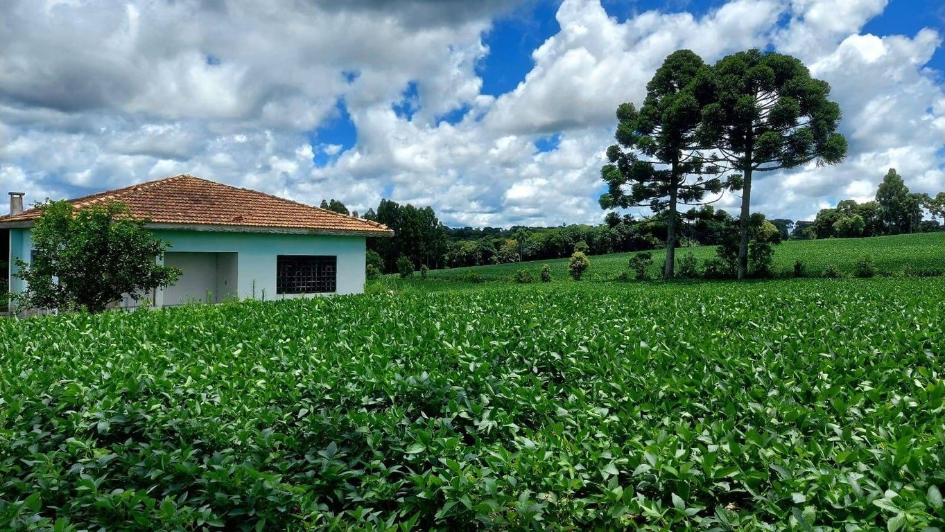 Paisagem rural de Santa Catarina com granja moderna e pastagens verdes ao fundo