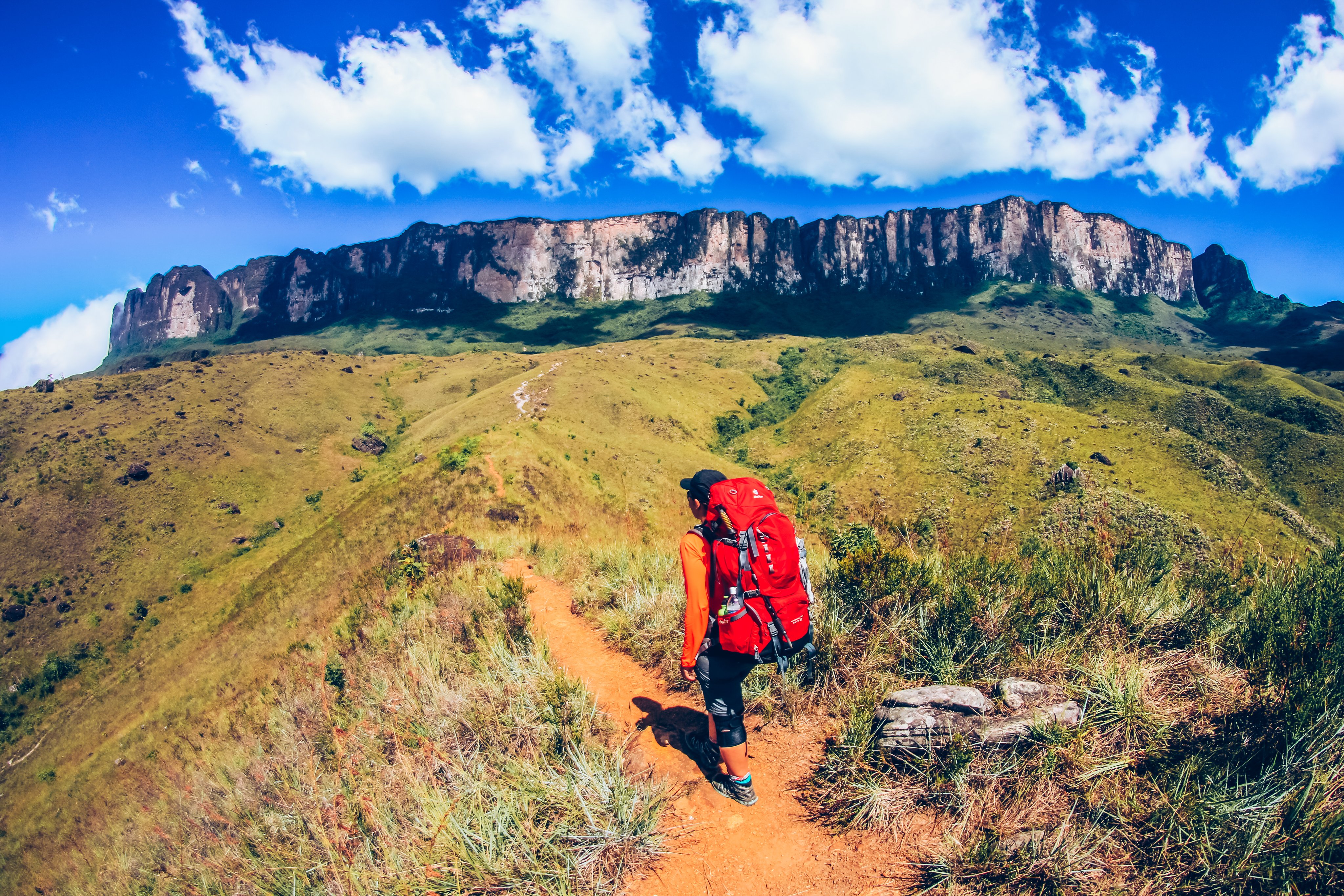 Paisagem de savana e serras em Roraima