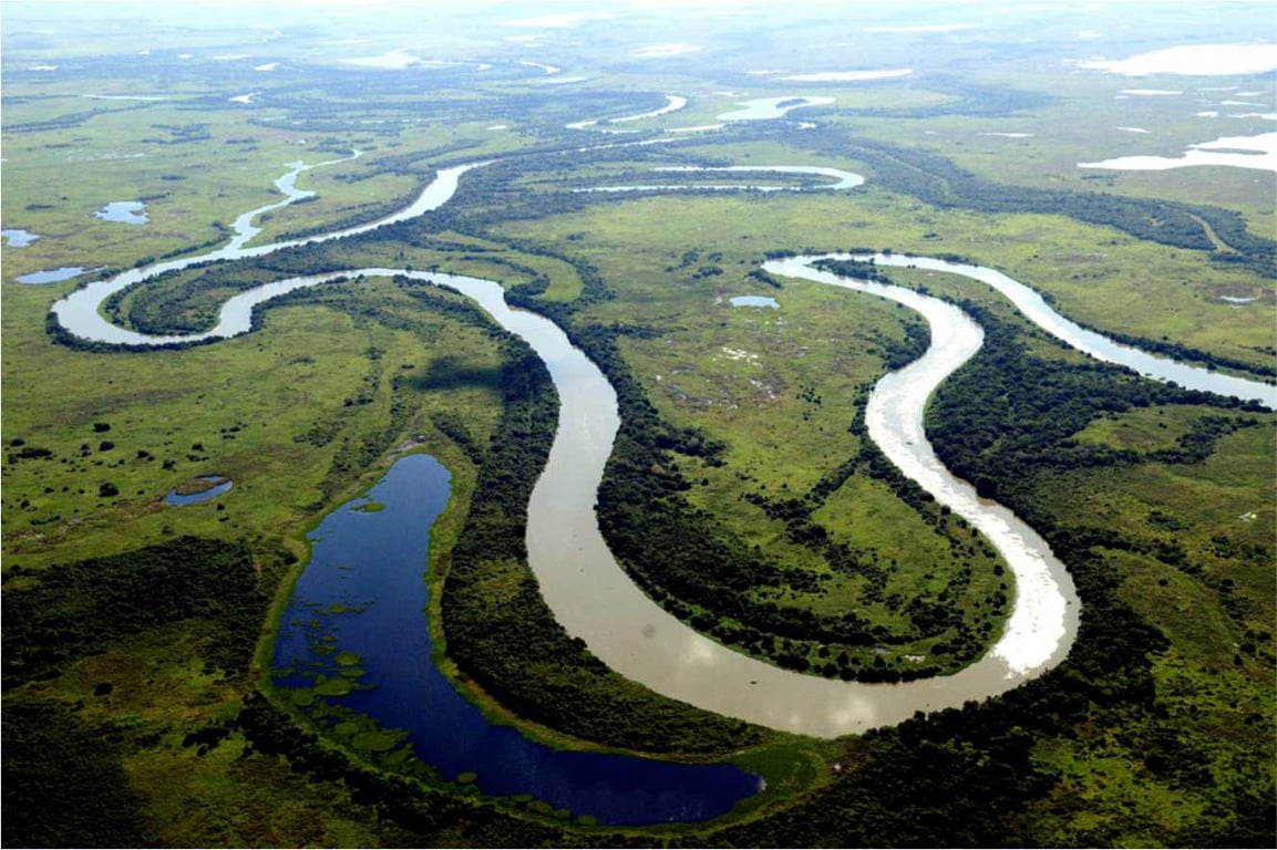 Vista aérea do Pantanal, com rios e vegetação típica do oeste de Mato Grosso