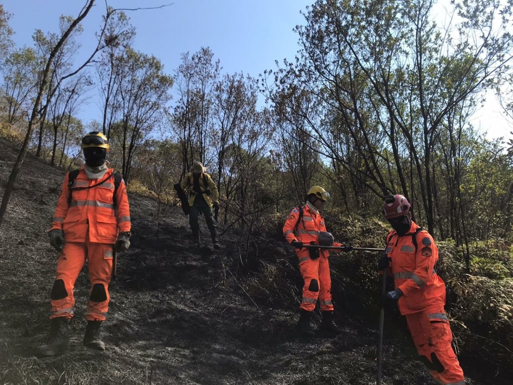 Bombeiros e brigadistas combatendo incêndio florestal em área de cerrado, com fumaça ao fundo