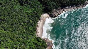 Vista aérea de praia em Ubatuba, com faixa de areia extensa, mar azul e costões da Serra do Mar ao fundo