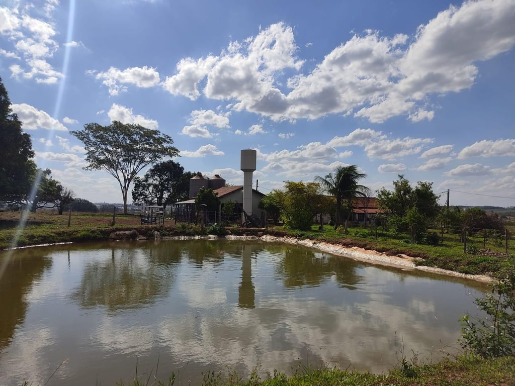 Paisagem do interior paulista, com lago e vegetação, remetendo à região de Monte Aprazível