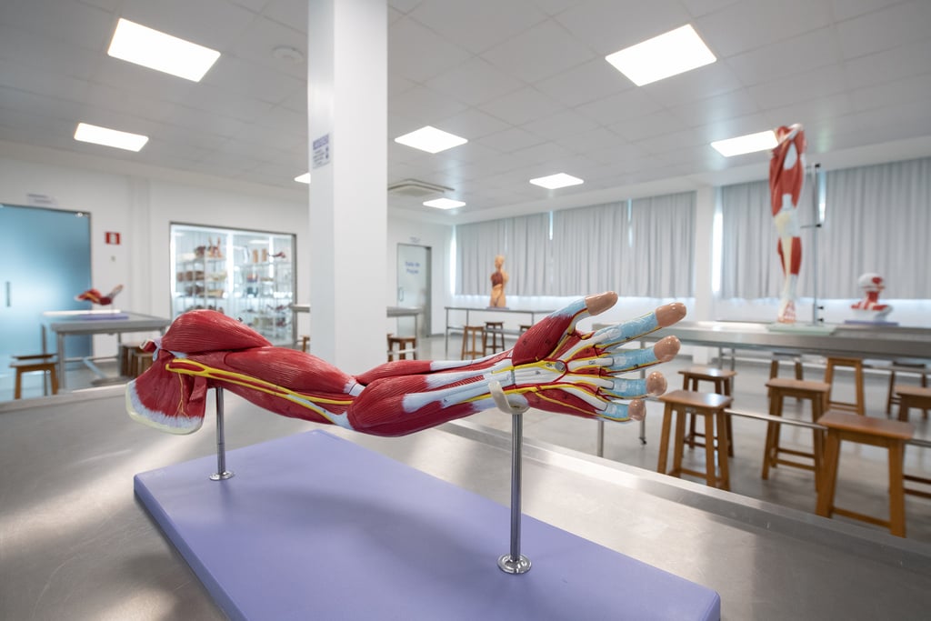 Ambiente de ensino em ciências da saúde