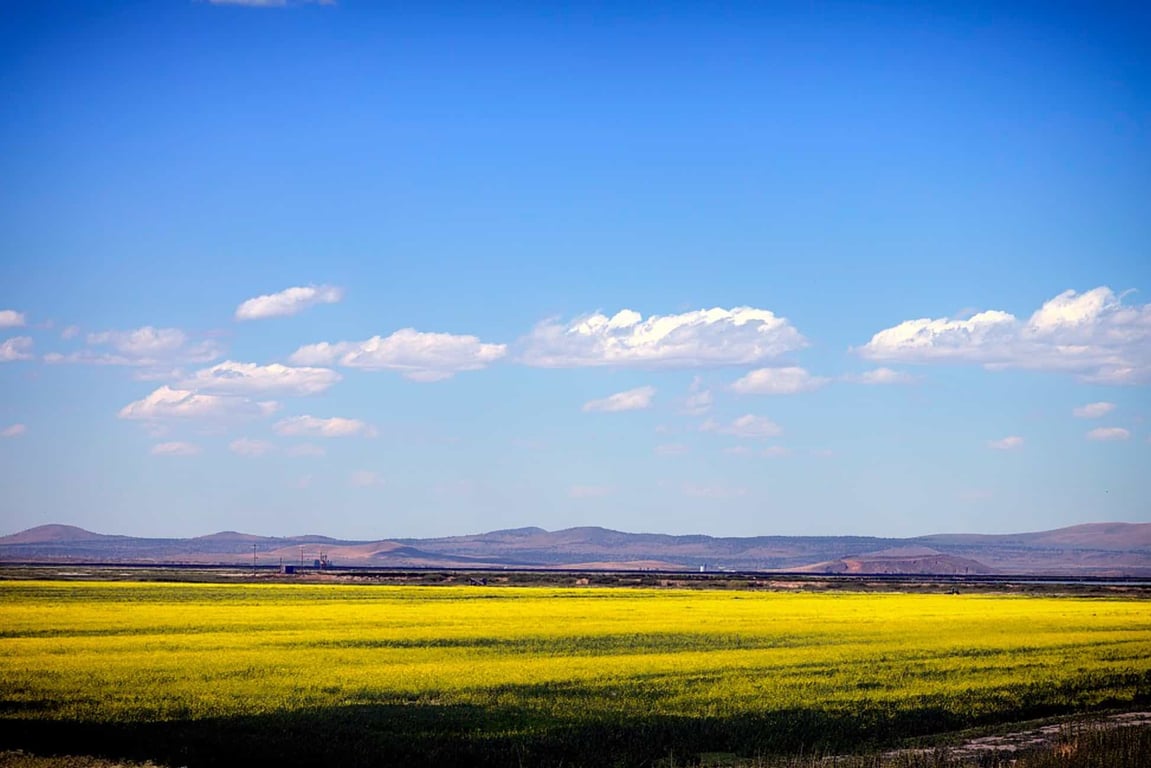 Paisagem rural com áreas agrícolas sob céu claro