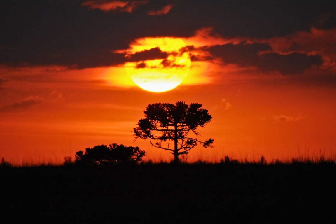 Paisagem rural no Oeste de Santa Catarina
