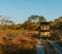 Estrada rural com vegetação do cerrado em Minas Gerais, em luz suave da tarde