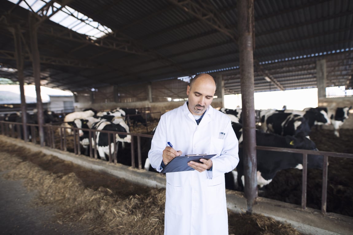 Profissional de jaleco inspecionando produtos de origem animal em agroindústria de pequeno porte