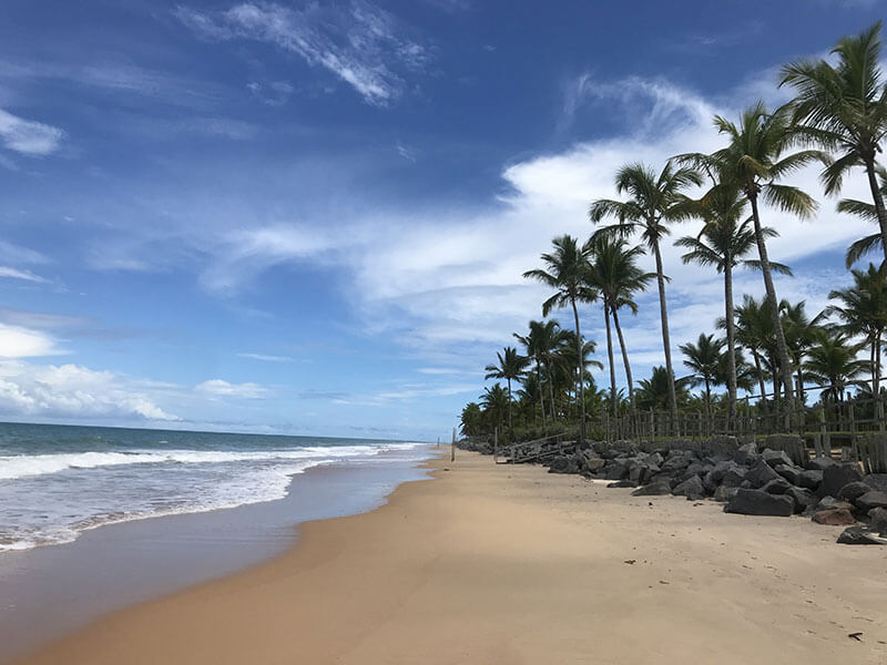 Entardecer no litoral sul da Bahia, com coqueiros e mar calmo em Trancoso