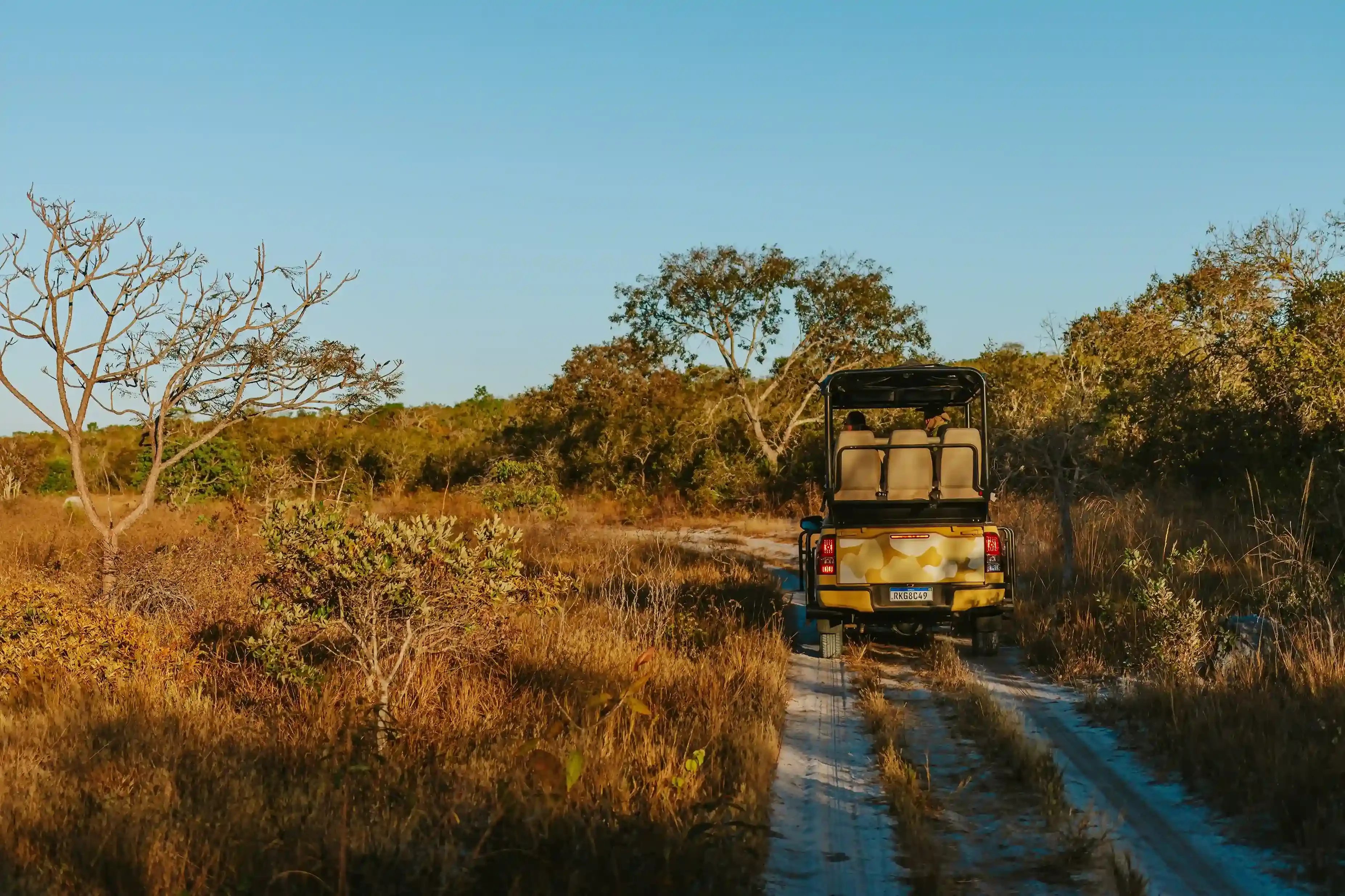 Paisagem do Cerrado mineiro ao entardecer