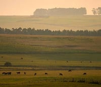 Paisagem do Pampa gaúcho ao entardecer, bioma que dá nome à Unipampa.