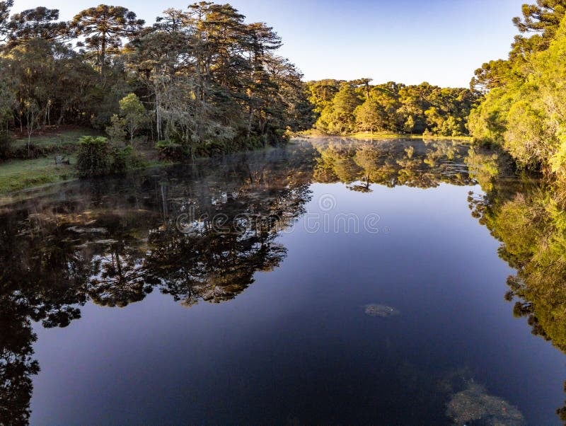 Paisagem da Flona de São Francisco de Paula, com lago e araucárias ao fundo