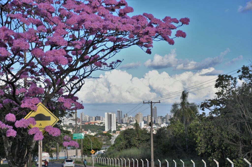 Avenida Afonso Pena, corredor central de Campo Grande