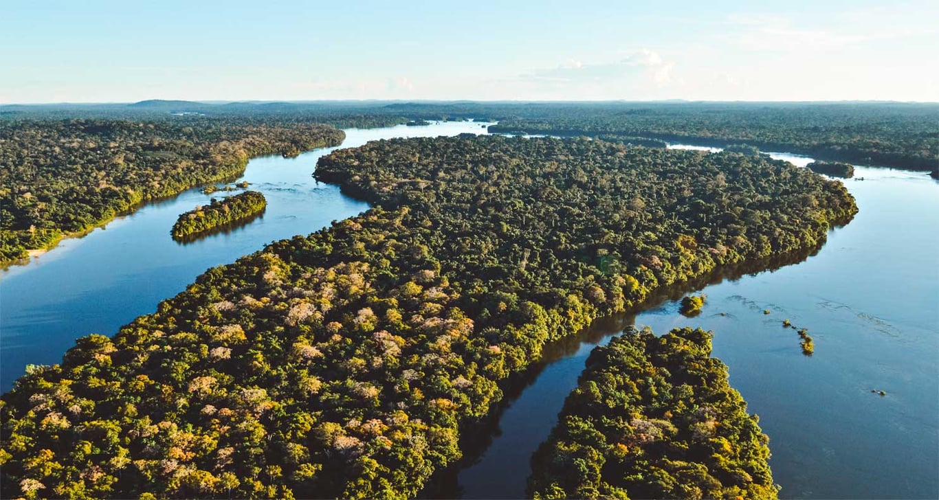 Floresta amazônica e rio próximo a Manaus