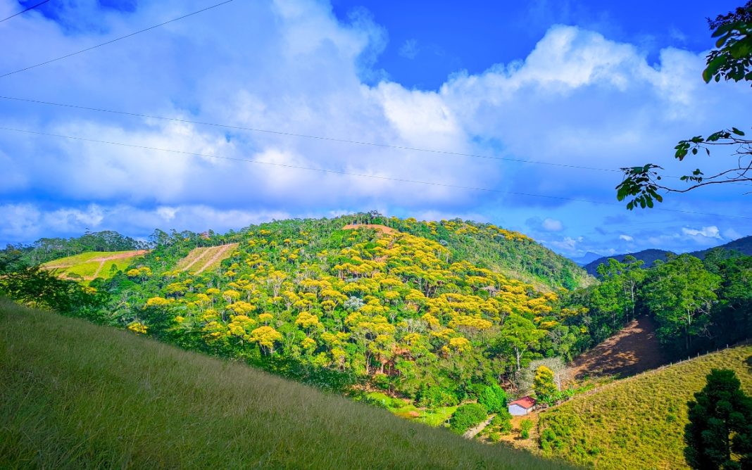 Paisagem rural de Santa Maria de Jetibá, com colinas verdes e propriedades agrícolas