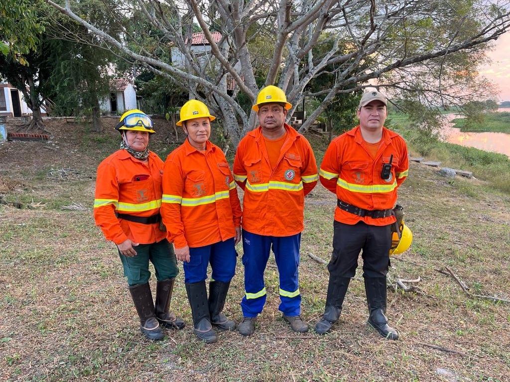 Brigadistas combatendo incêndio florestal no Cerrado brasileiro, com chama baixa, fumaça e vegetação típica