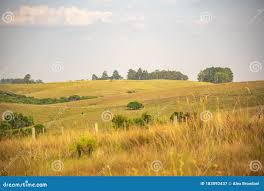 Paisagem rural gaúcha próxima à região de Unistalda RS