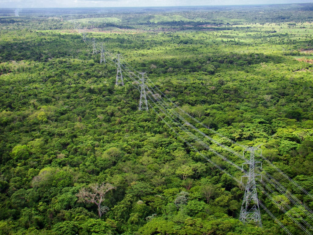 Linhas de transmissão de energia cruzando área de floresta na Amazônia, em clima documental