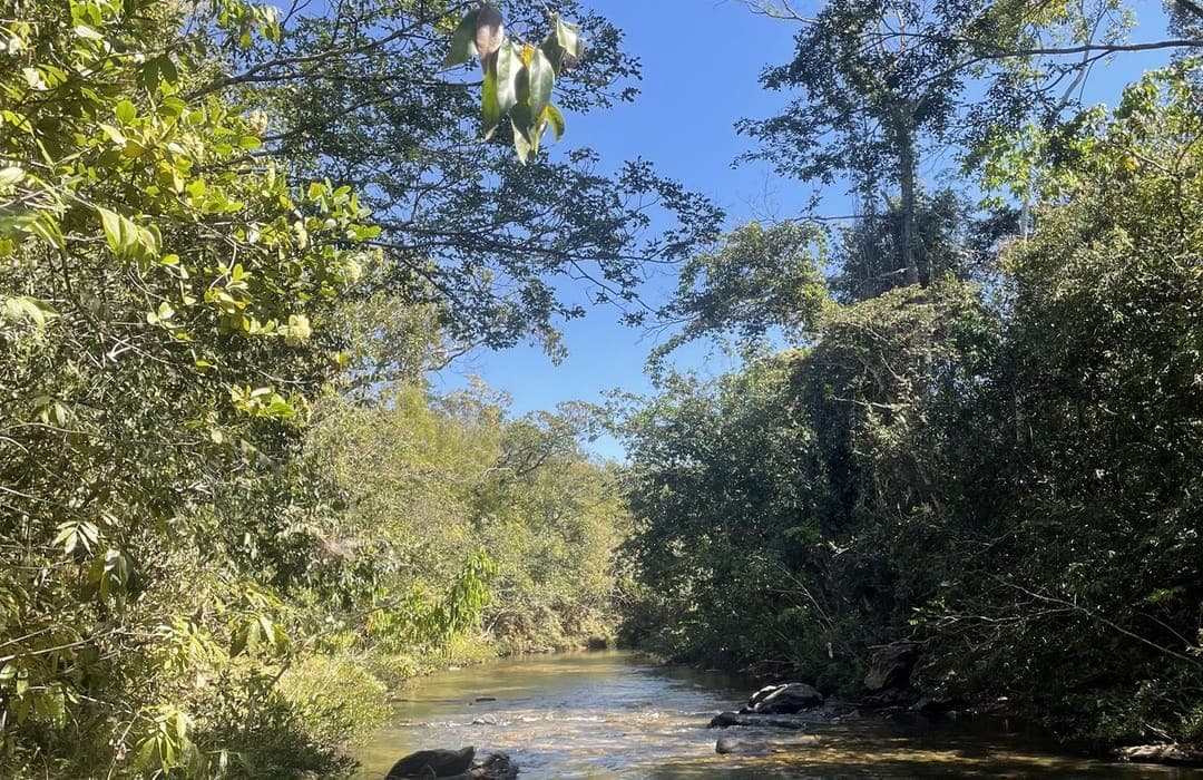 Paisagem do Cerrado no Parque Nacional das Emas
