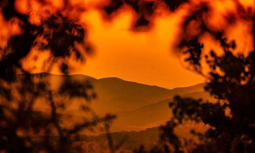 Paisagem do Cerrado no Piauí, com tons dourados ao entardecer