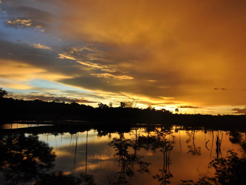 Estrada vicinal e vegetação amazônica sob pôr do sol em Rondônia