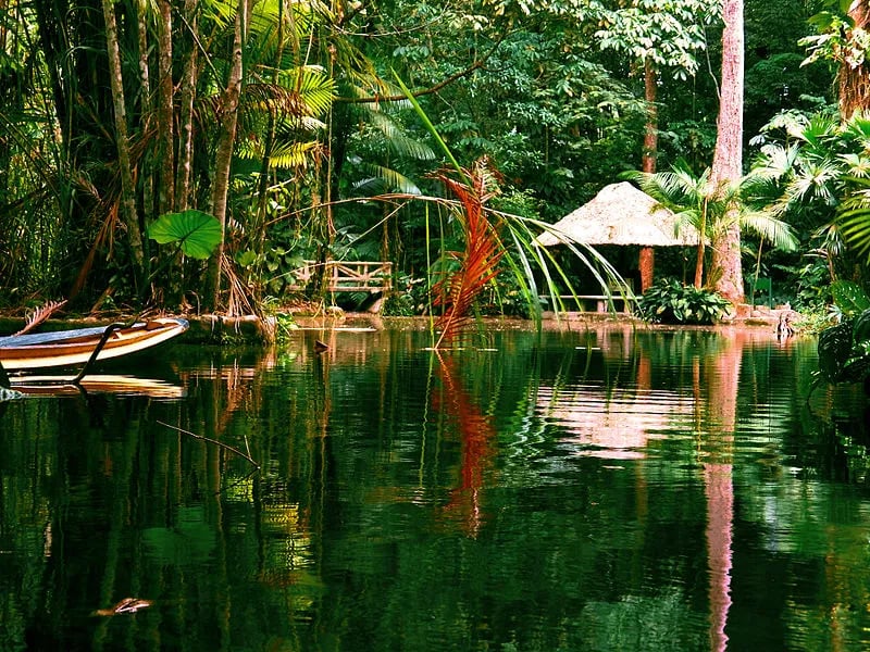 Vista de paisagem amazônica, em referência ao contexto regional de Ariquemes RO