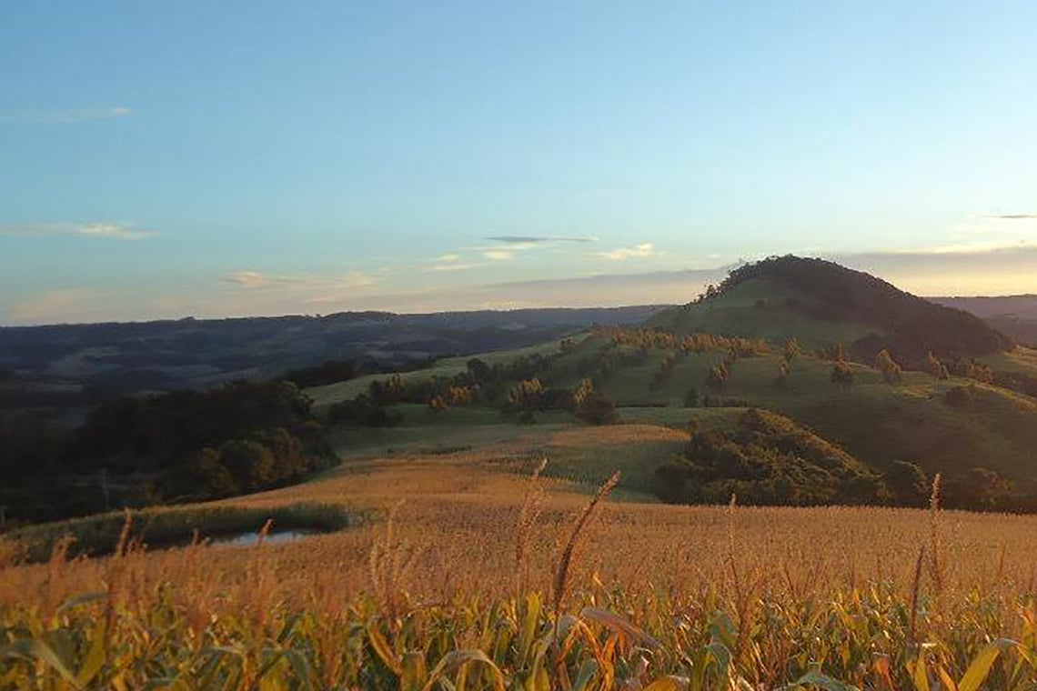 Vista panorâmica rural no Sudoeste do Paraná, com campos e colinas ao fundo e luz do fim de tarde