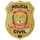 Polícia Civil do Distrito Federal
