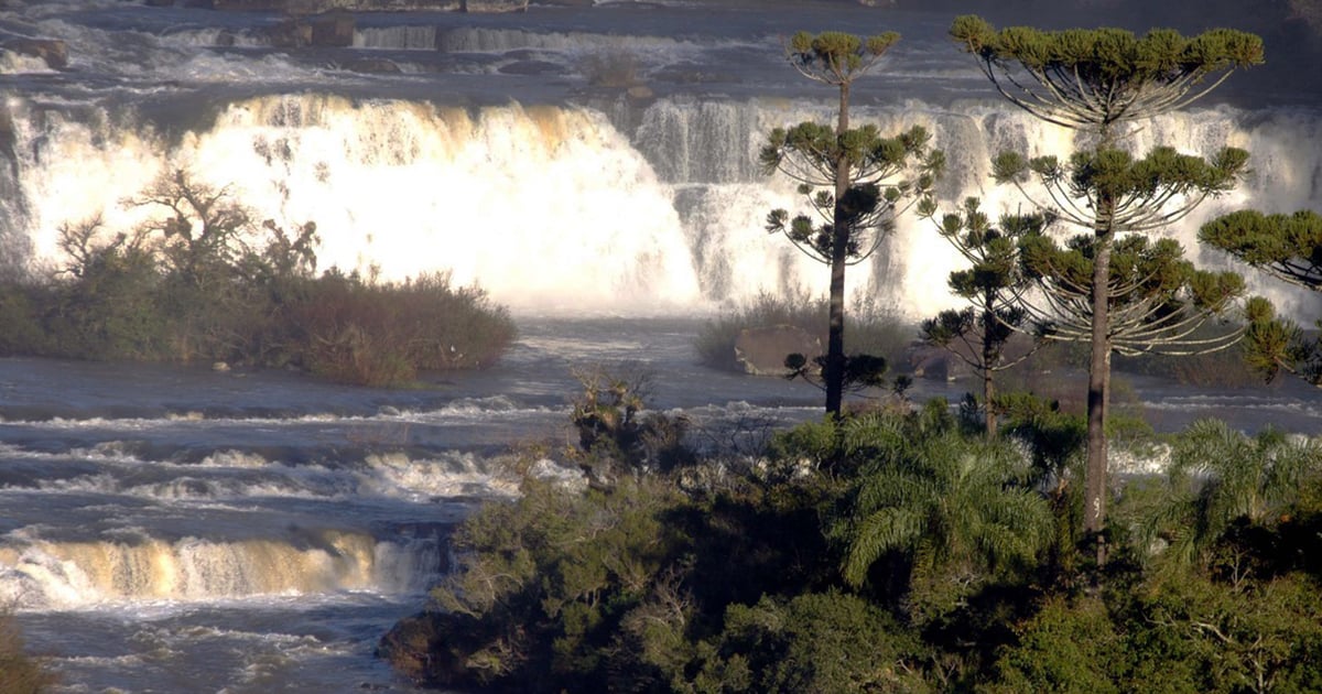 Paisagem do Meio-Oeste catarinense