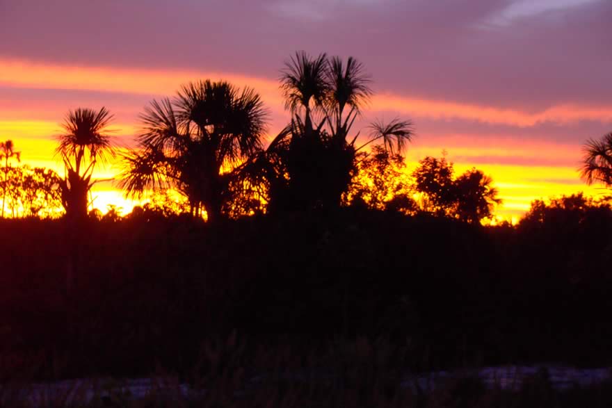 Campos do Cerrado no Parque Nacional das Emas ao pôr do sol