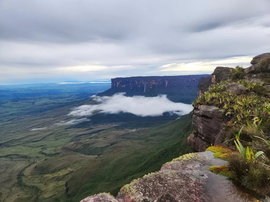 Paisagem de Roraima, com vegetação amazônica e céu aberto