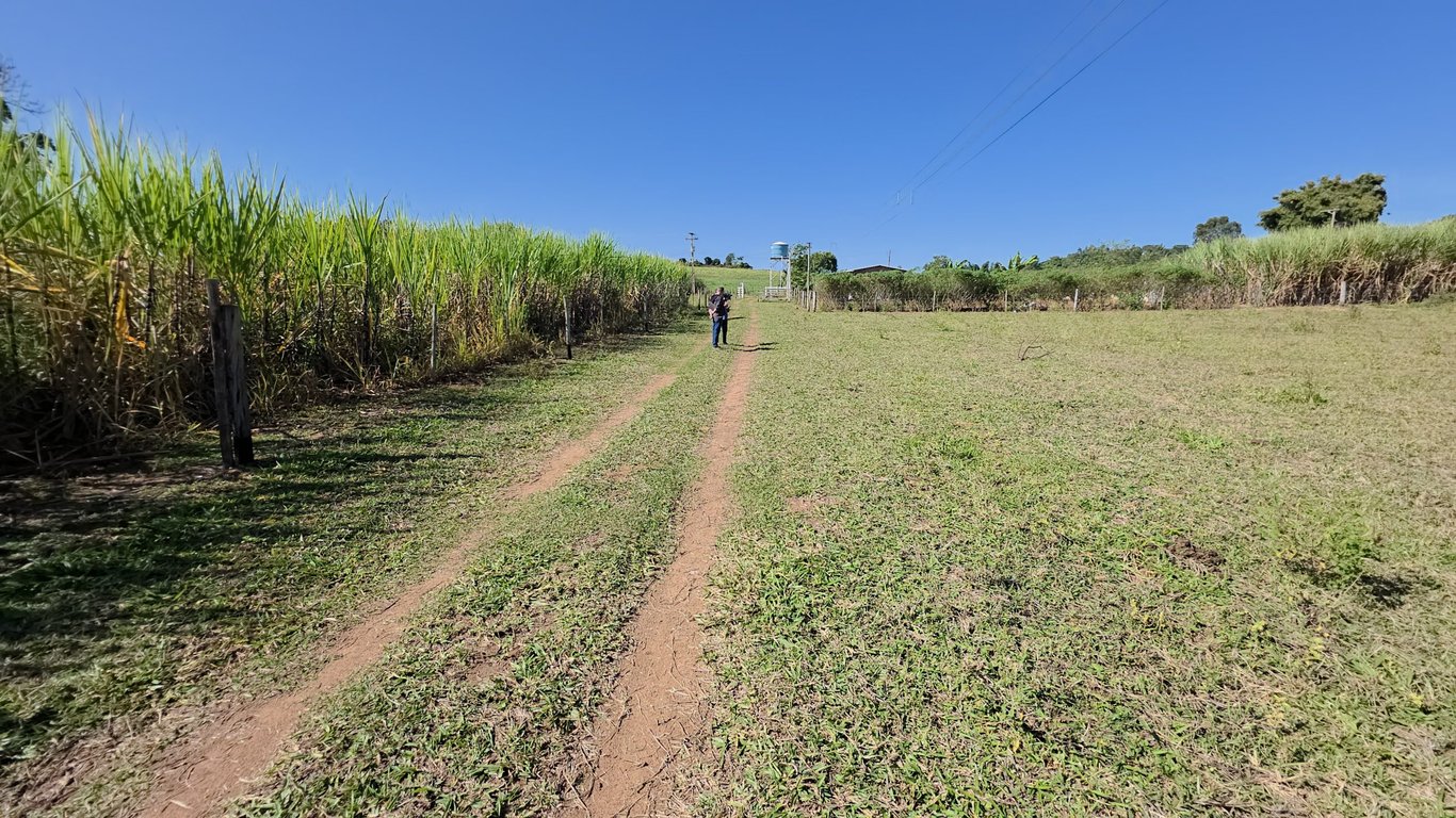 Estrada rural no interior paulista, cenário típico da região de Marília.