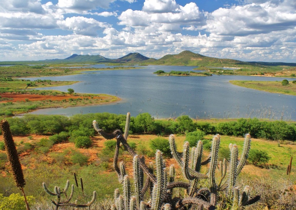 Paisagem do sertão baiano, com caatinga e espelho d’água ao fundo