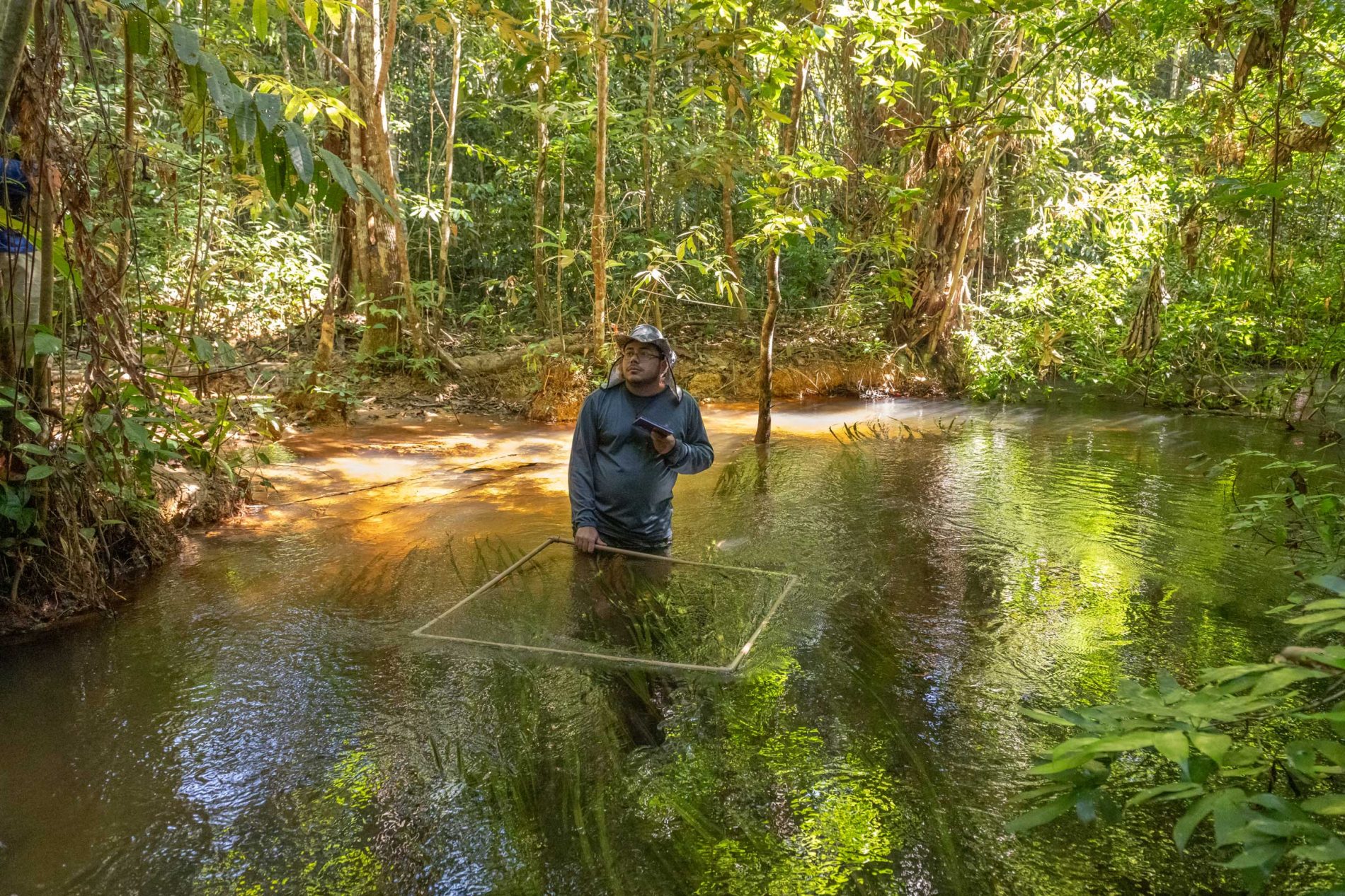 Agente ambiental em igarapé na Amazônia, realizando monitoramento em área de floresta alagada