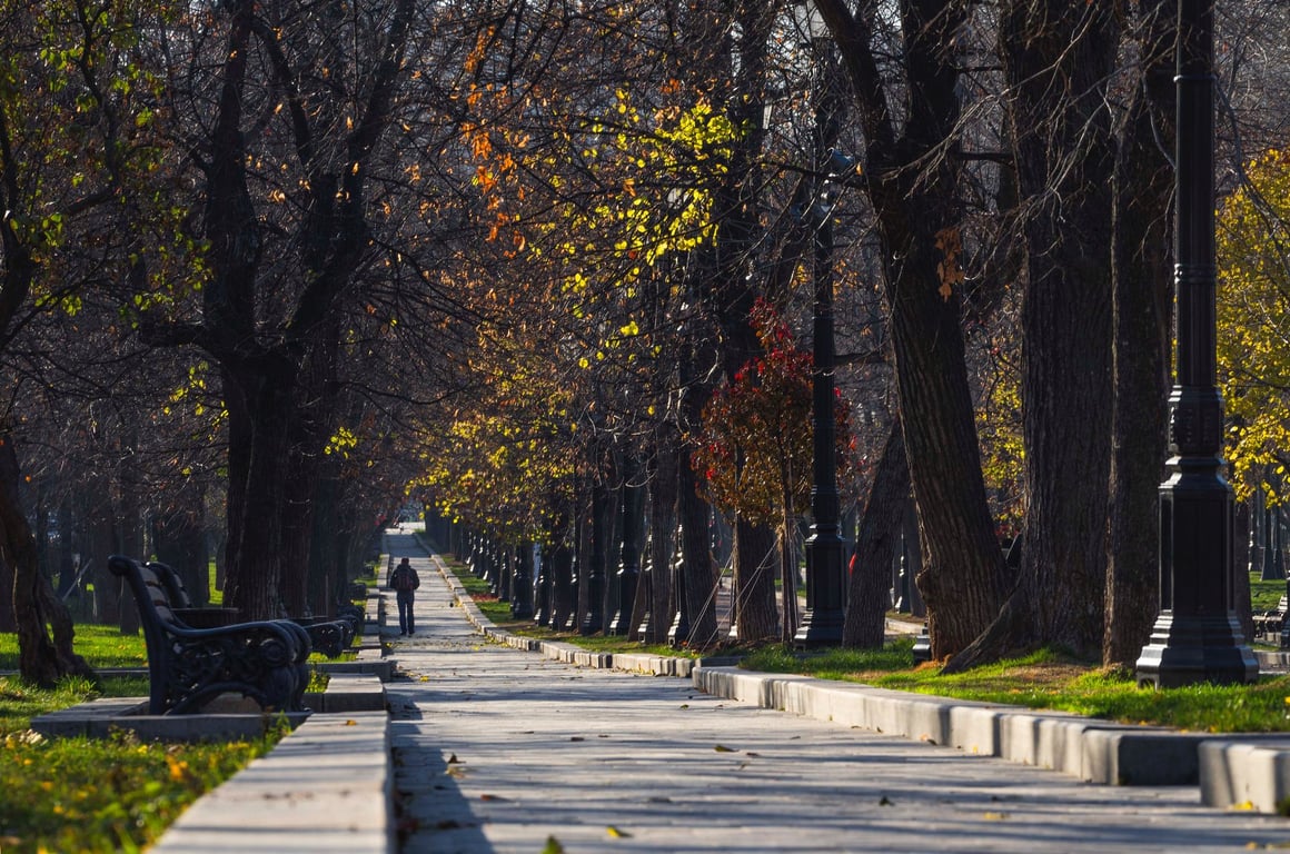 Cenário urbano arborizado do interior paulista