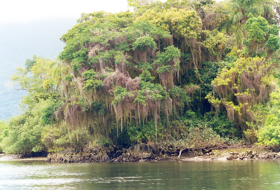Paisagem do interior paulista com vegetação e corpo d’água ao entardecer