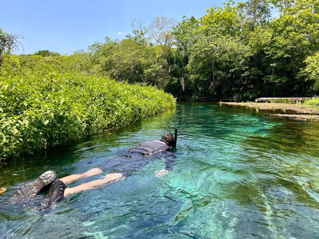 Rio de águas transparentes em Bonito MS com visitantes praticando flutuação