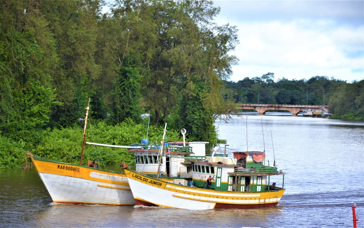 Barcos de pesca e trapiche em rio amazônico com vegetação ao fundo; Bragança PA