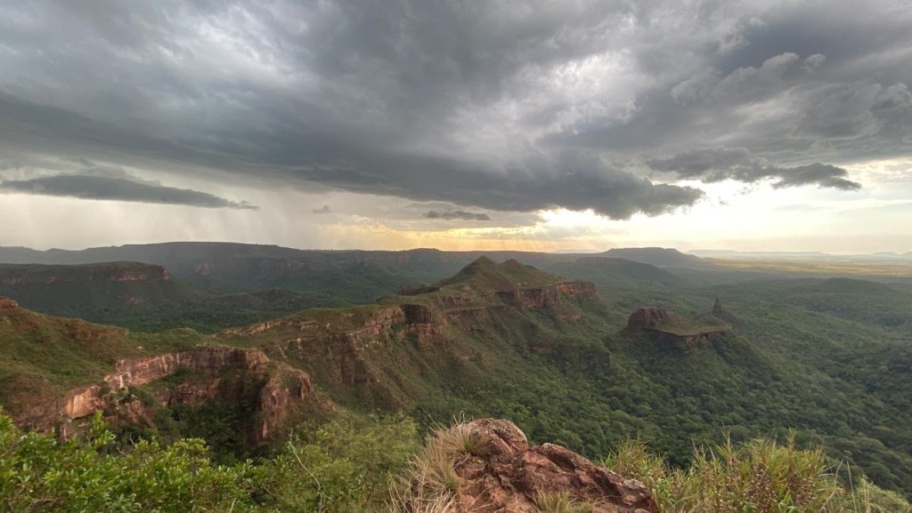Estrada rural no Cerrado sul-mato-grossense