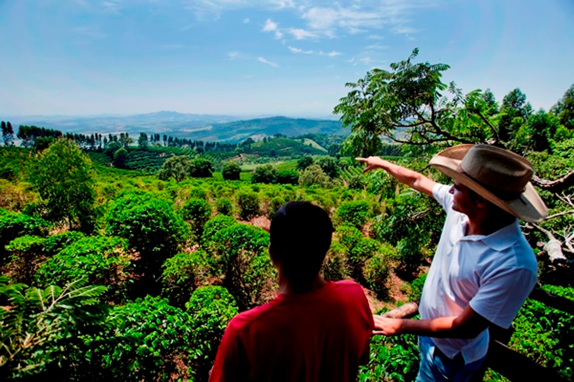 Serra da Mantiqueira e cafezais em Minas Gerais